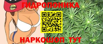 мдпв Ангарск