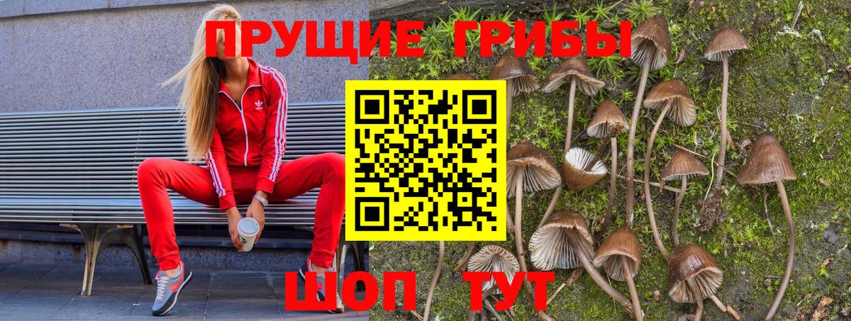 Галлюциногенные грибы мицелий  Вход с VPN  Кумертау 