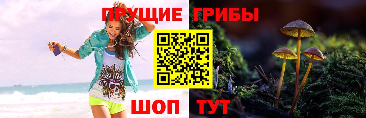 Галлюциногенные грибы MAGIC MUSHROOMS Кумертау